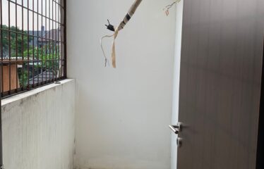 Disewakan Rumah Nusaloka Park, 2 Lantai, Bsd Jul