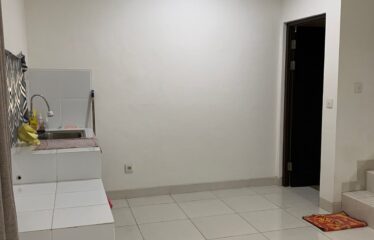 Disewakan / Dijual Rumah di Nusaloka Park BSD (JUL)