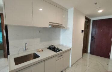 Disewakan Apartemen Sky House Tower DUXTON D1 BSD (RIN)