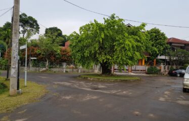 Dijual Rumah Griya Loka Jl. Wortel 340 M2, SHM, 3 M, BSD MC