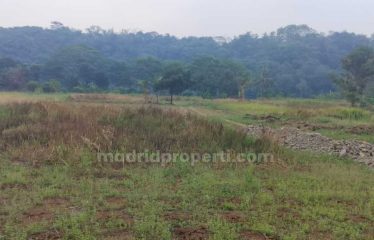 Dijual Tanah Pertanian 10 Ha di Rumpin: Lokasi Prima, Potensi Besar! (RIN)