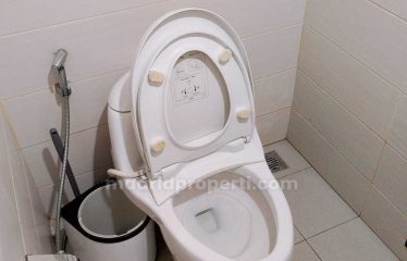 Disewakan Rumah 2 lt di Cluster De Naara, De Park BSD City (RIN)