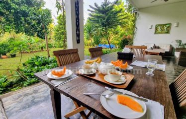 Dijual Rumah Mewah & Asri di The Green Cluster Mirage, Bsd (Rin)