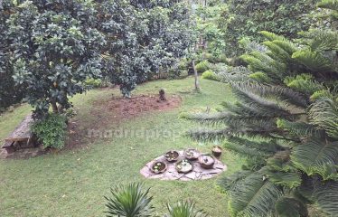 Dijual Rumah Mewah & Asri di The Green Cluster Mirage, Bsd (Rin)