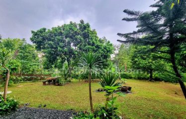 Dijual Rumah Mewah & Asri di The Green Cluster Mirage, Bsd (Rin)