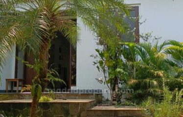 Dijual Rumah Mewah & Asri di The Green Cluster Mirage, Bsd (Rin)